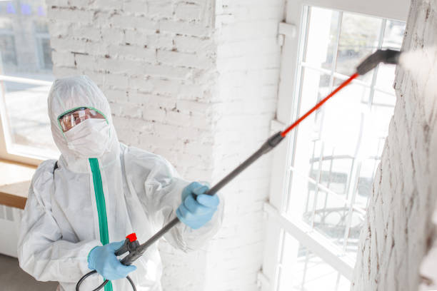 Best Commercial Mold Inspection  in Gulf Hills, MS